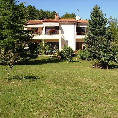 Apartment Neda Z-Velika Okucnica, Besplatni Parking I Opticki Wi-Fi Labin  Camera foto